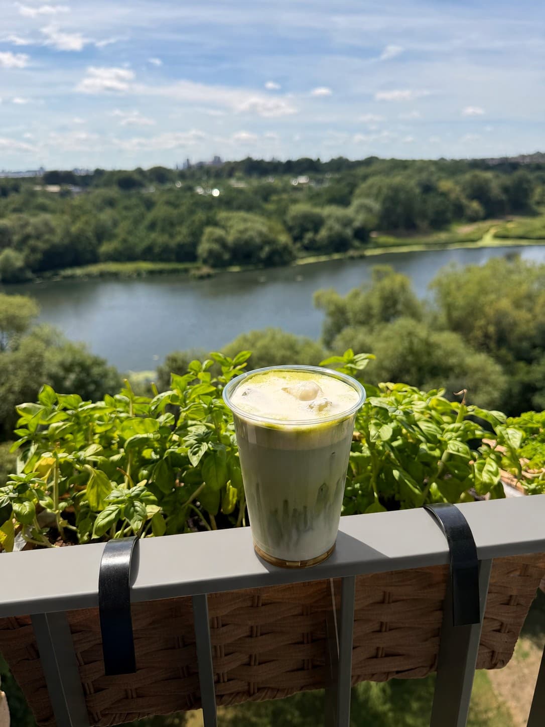Iced matcha beside fresh basil